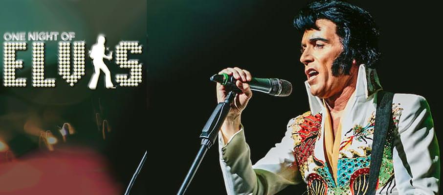 One Night of Elvis - Lee Memphis King at Manchester Opera House