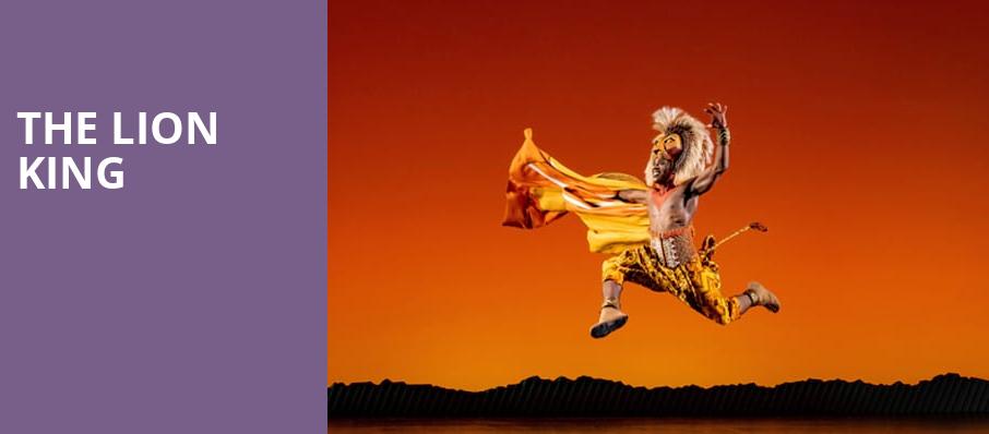 The Lion King - Manchester Palace Theatre, Manchester, North West -  Tickets, information, reviews