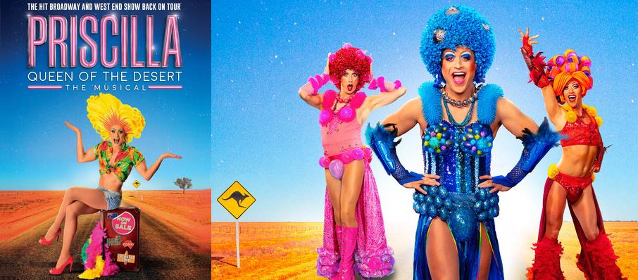 Priscilla Queen of the Desert, Manchester Palace Theatre, Manchester